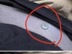 The Hidden Hero of Your Seat Belt – What Is That Little Round Button! And Why Its Essential