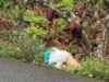 Young Woman Found amid Suspected Envy
