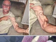 THE TRAGIC HIDDEN CHILDHOOD OF THE FRENCH ADONIS HOW A REJECTED BUTCHERS APPRENTICE ESCAPED THE SLUMS TO BECOME CINEMAS MOST DANGEROUS HEARTTHROB