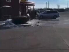 Ambush at the Pump Why a Routine Coffee Break Turned Into a Deadly Citywide Manhunt