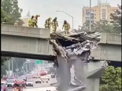 You Wont Believe What Happened on Knight Street Bridge This Morning!