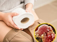 Hidden PFAS in toilet paper linked to cancer risk: 6 types to be aware of