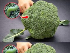 Washing broccoli with just water is wrong: This is the correct way.
