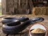 7 Natural Scents That May Help Keep Snakes Away—Plus Safe Tips for Long-Term Prevention