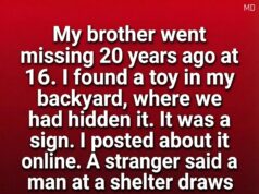 The Toy Car in the Backyard: A Long-Lost Brother and the Memory That Led Him Home