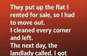 I Left My Apartment Spotless—The Call I Got the Next Day Meant Everything”