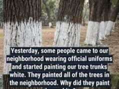 Why Some Trees Are Painted White and What