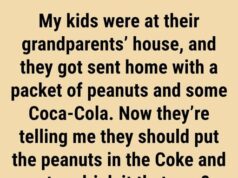 Why Millions of Southerners Are Pouring Salted Peanuts Directly Into Their Ice Cold Bottles of Coca Cola and the Brilliant Century Old Survival Secret Behind It