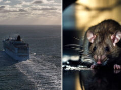 Hantavirus Kills 3 on Cruise Ship as WHO Investigates Outbreak
