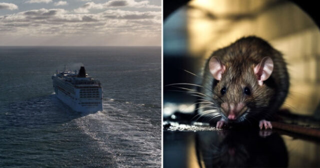 MV-Hondius-hantavirus-664x350