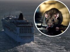 Deadly ‘rat virus’ spreads on cruise ship after multiple deaths – passengers trapped on board
