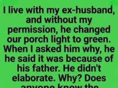 The Hidden Meaning Of The Green Glow, Why Your Neighbors Are Swapping Their Porch Lights And The Emotional Secret Every Veteran Knows