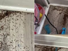 Mother asks internet for help after finding mysterious piles of ‘brown bits’ in daughter’s bedroom