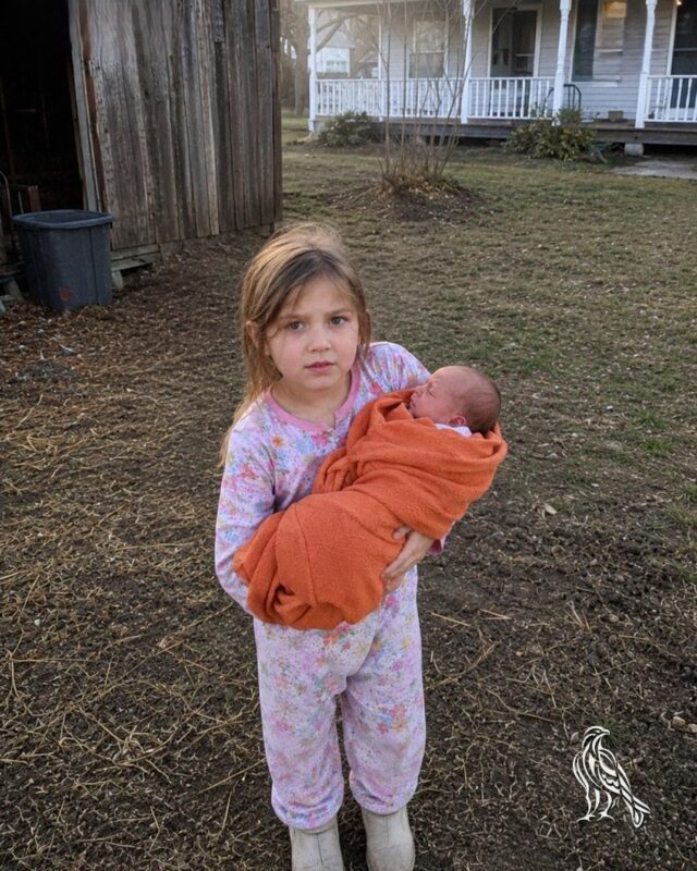 My Daughter, 8, Found a Newborn Baby near Our Barn – When My Husband Asked, ‘Who Would Do This’ She Looked at Him and Said, ‘Daddy… I Saw You’