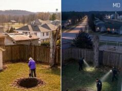 My Neighbor Spent Years Digging Holes Every Weekend — Then One Morning, Police Uncovered the Reason