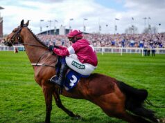 TRAGEDY AT AINTREE AS JOCKEY WHIPS DYING HORSE ACROSS FINISH LINE IN SHOCKING FINAL SECONDS OF LIVERPOOL RACE THAT LEFT VIEWERS IN TEARS