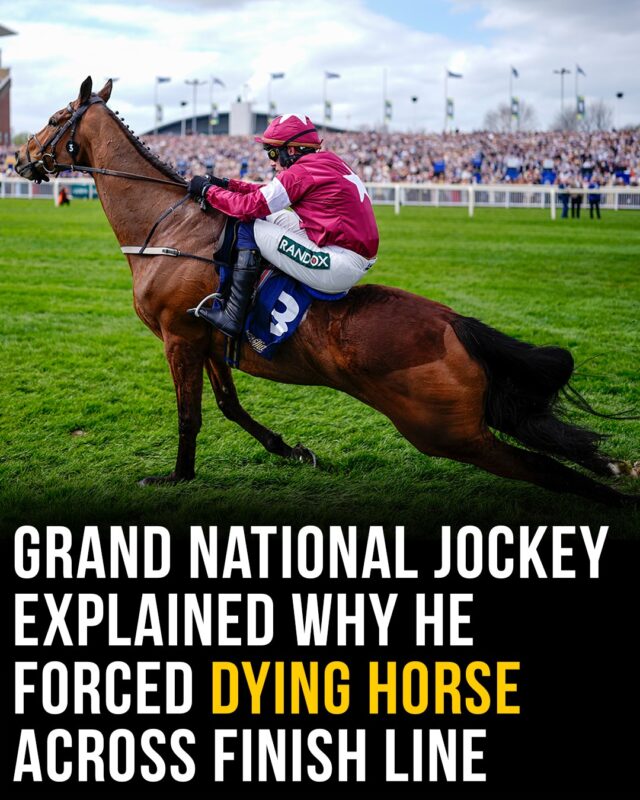 The horse was euthanized after the race 😭💔