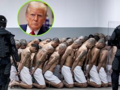 Trump Threatens To Send US Citizens To The Worst Prison On Earth And Inmates Must Obey This One Terrifying Rule