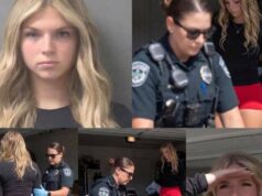 Public Park Incident Leads to Arrest and Ignites National Conversation on Boundaries