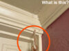 We Found Something Terrifying Hiding Inside Our Hotel Room Wall