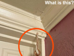 We Found Something Terrifying Hiding Inside Our Hotel Room Wall