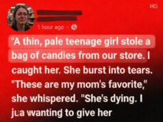 I Lost My Job After Helping a Struggling Teenager — What Happened Next Brought an Entire Community Together