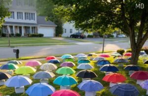 My Son Shared His Umbrella With a Stranger in the Rain—The Next Morning, Our Lawn Was Filled With Unexpected Gifts