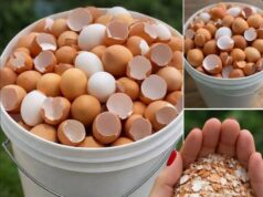 Stop Wasting Money And Throwing Away This Magical Kitchen Scrap