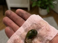 The Strange Thing We Found on the Bathroom Floor Had an Unexpected Explanation