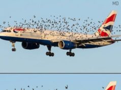 The Unexpected Reason a Pilot Became Emotional After Safely Landing His Plane