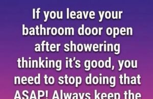 Read More Bathroom Doors and Shower Ventilation