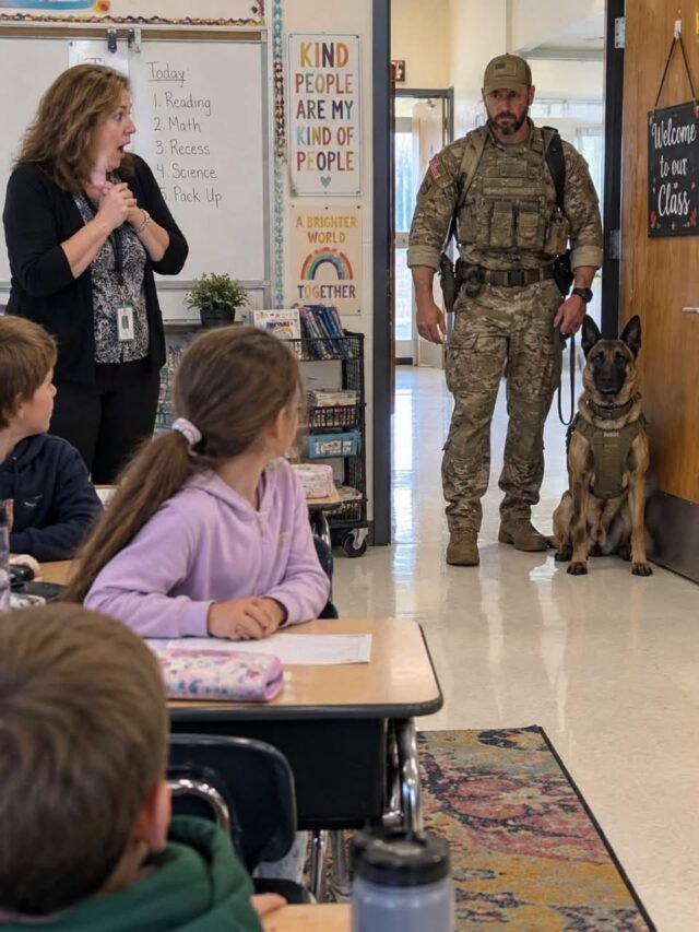 An 8 Year Old Wrote About Her Marine Dad and His Working Dog but Her Teacher Accused Her of Making It Up